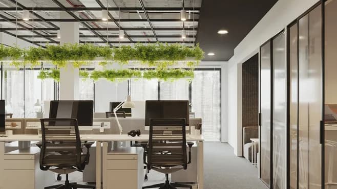 Render by P&M Studio